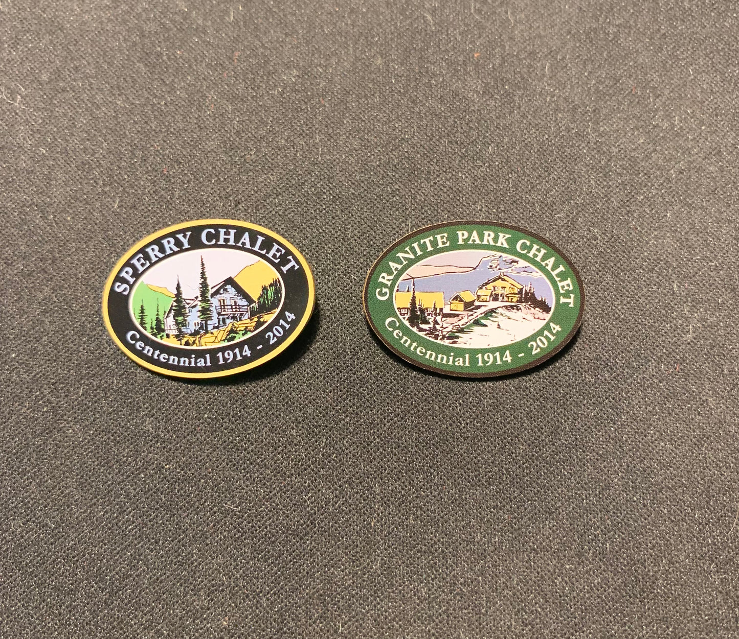 Centennial Pins - set of two