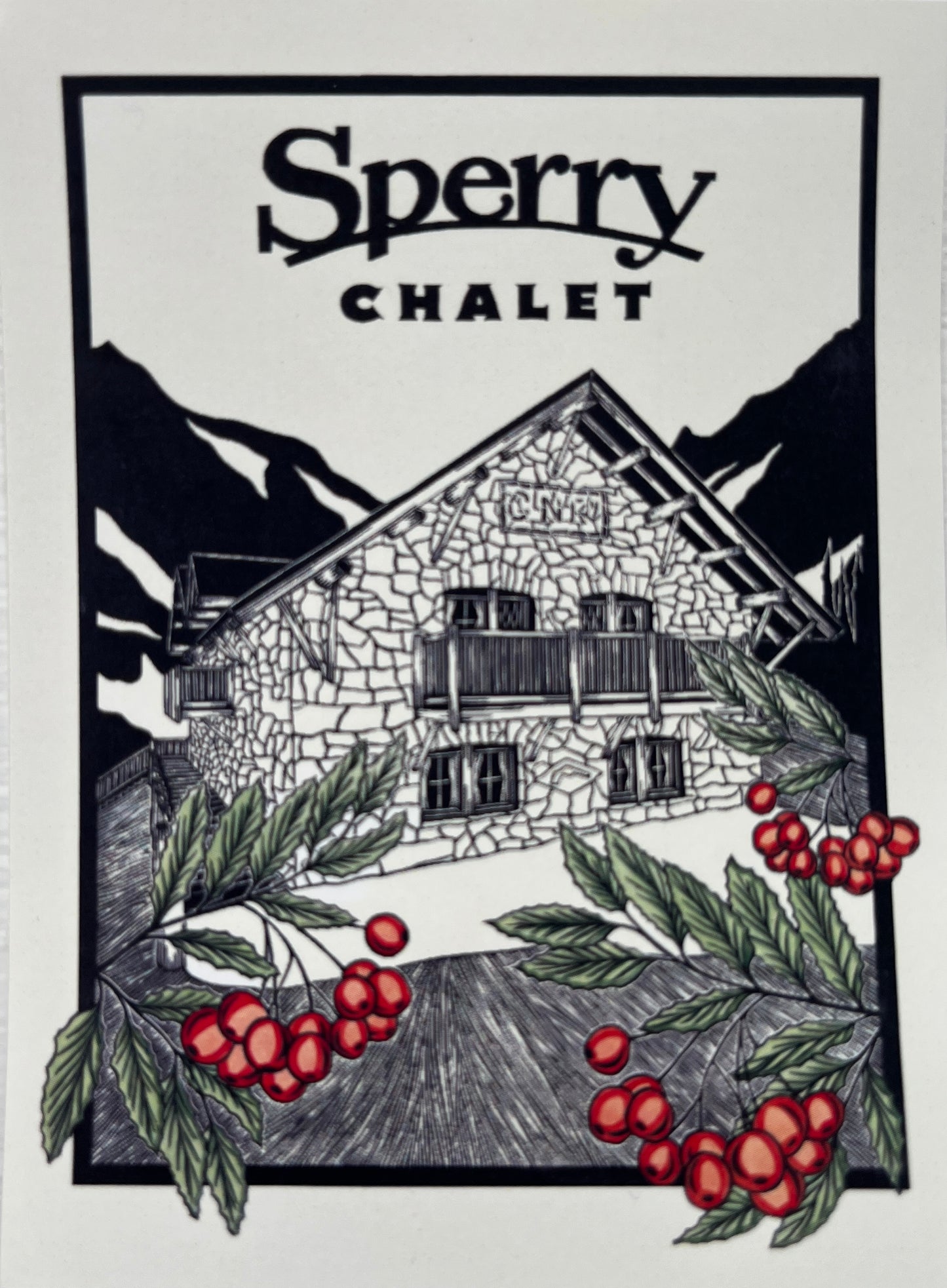 Sperry Chalet Graphic Sticker