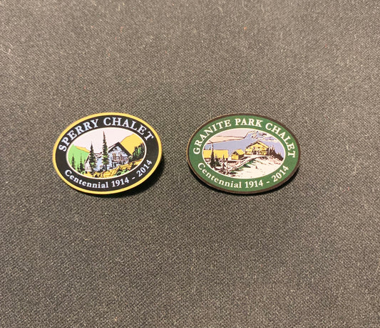 Centennial Pins - set of two